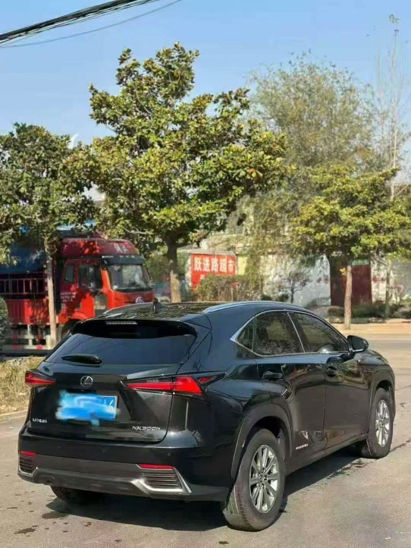 东营18年雷克萨斯NX9