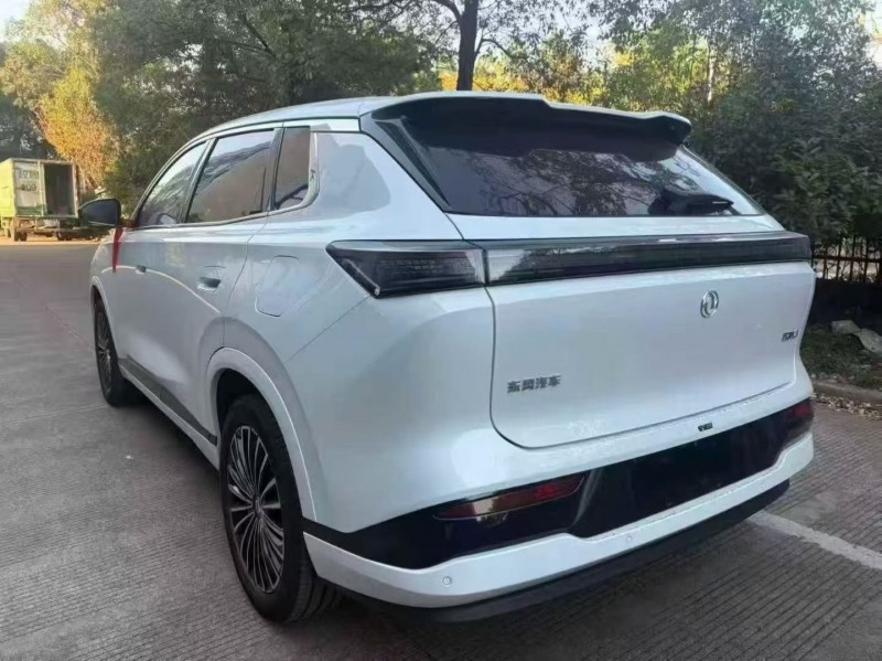 温州25年东风风神8