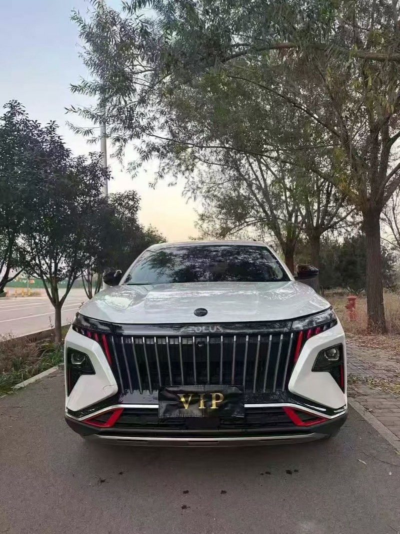 淄博23年东风风神1