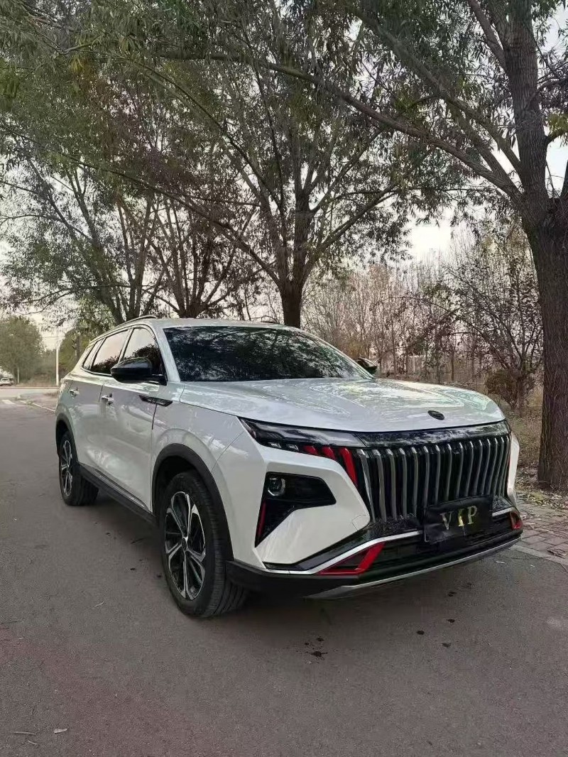 淄博23年东风风神3