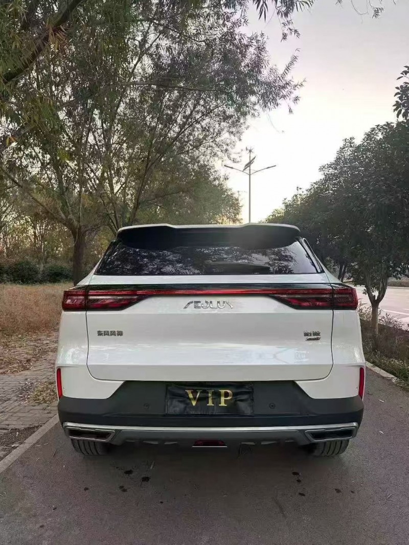 淄博23年东风风神8