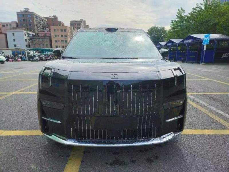 广州25年极氪汽车0091