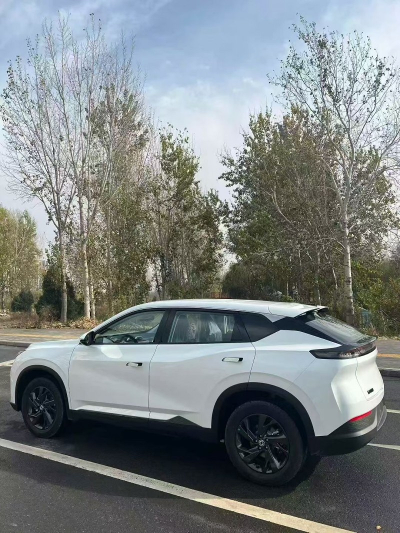 秦皇岛25年东风风神8