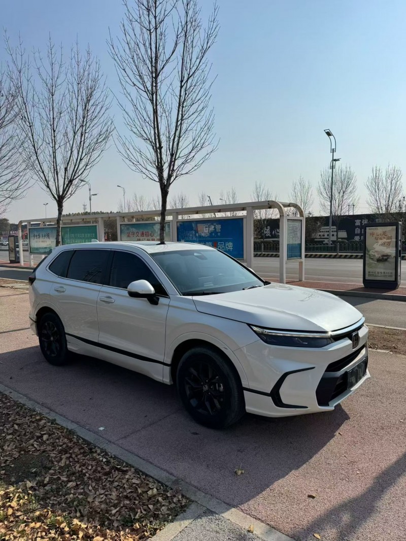 枣庄24年本田皓影3