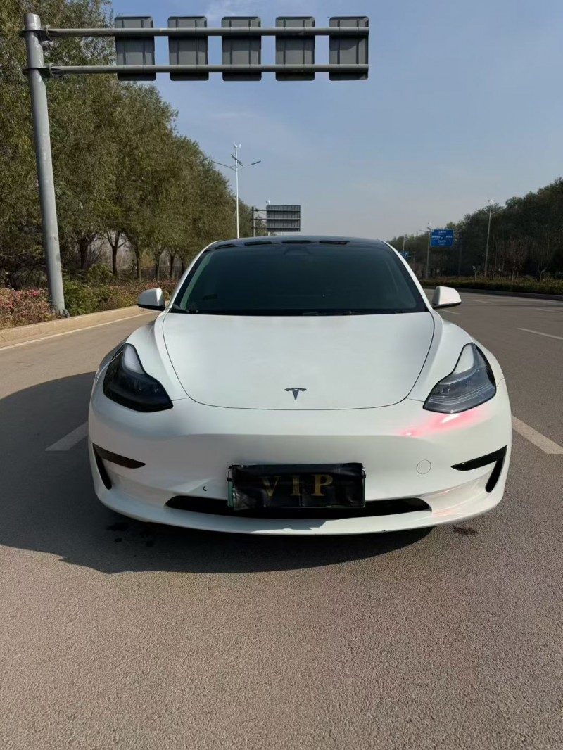 枣庄23年特斯拉MODEL 31