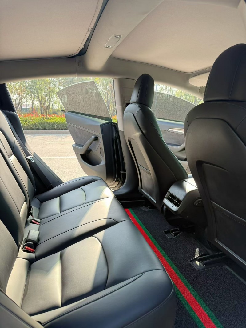 枣庄23年特斯拉MODEL 35