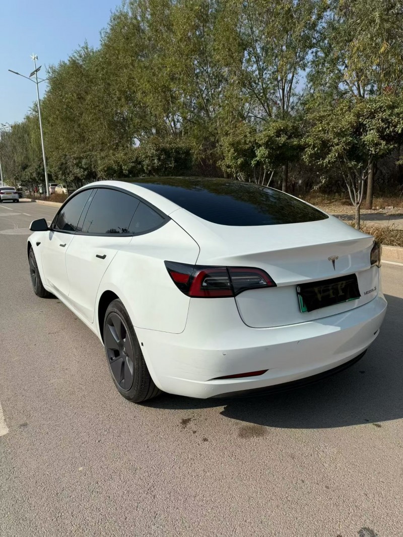 枣庄23年特斯拉MODEL 39