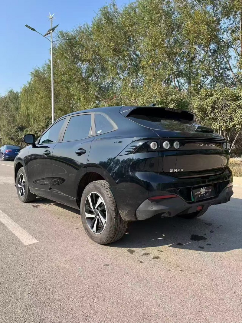 枣庄24年东风风行9