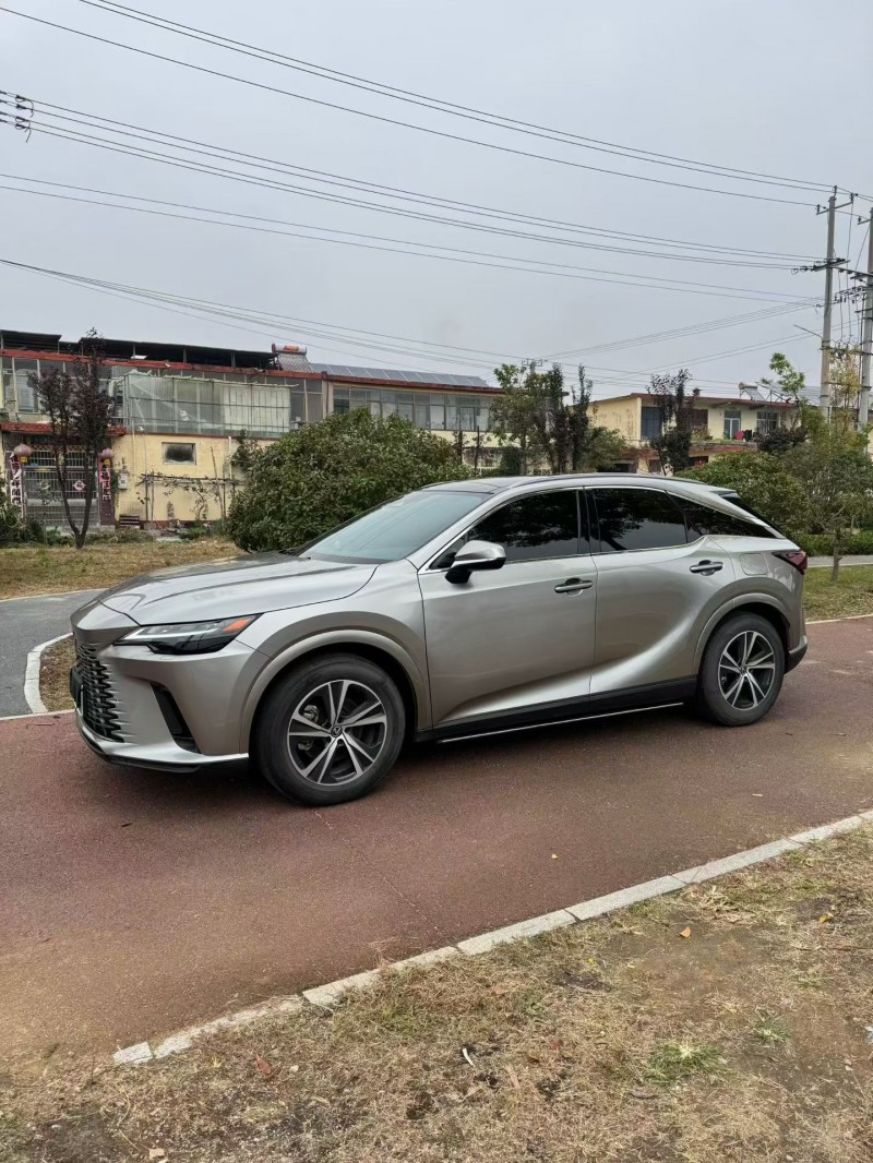 枣庄24年雷克萨斯RX2