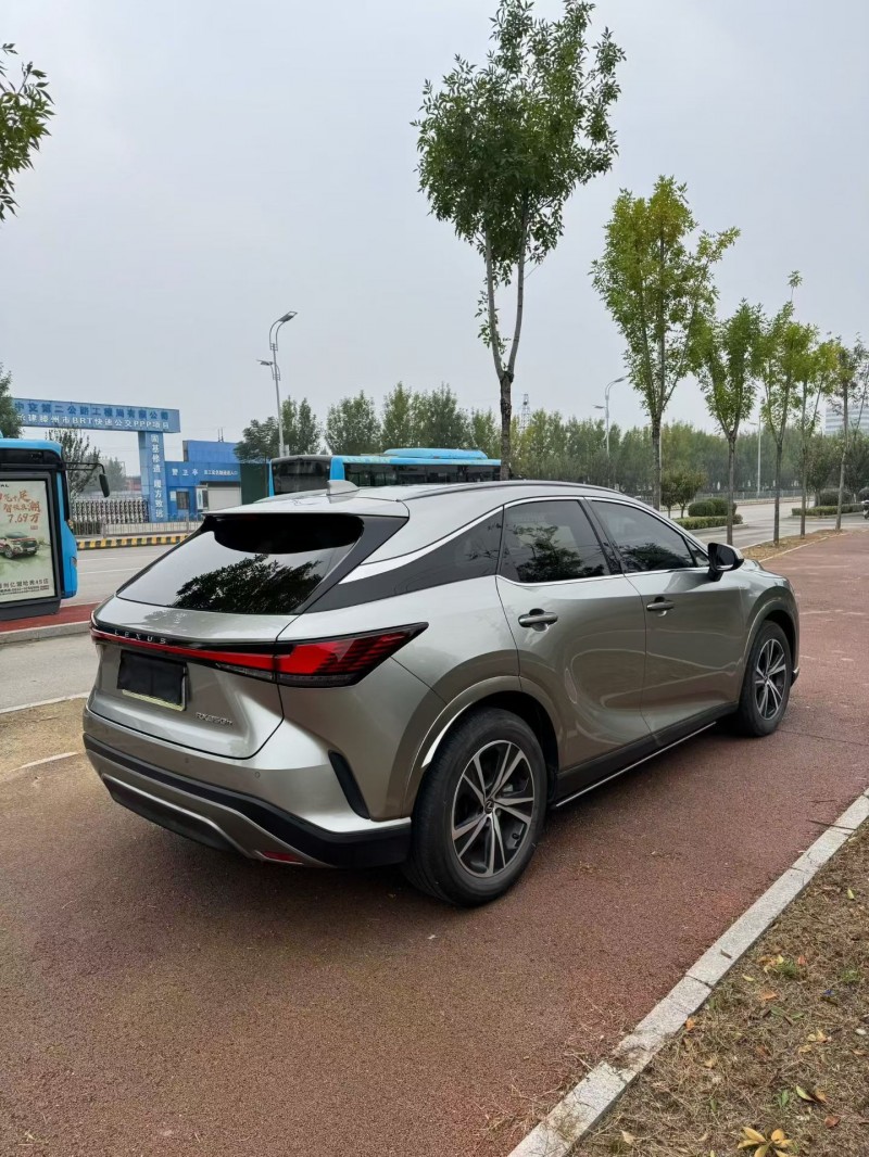 枣庄24年雷克萨斯RX7