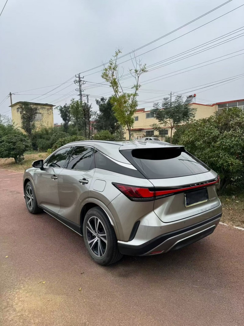 枣庄24年雷克萨斯RX8