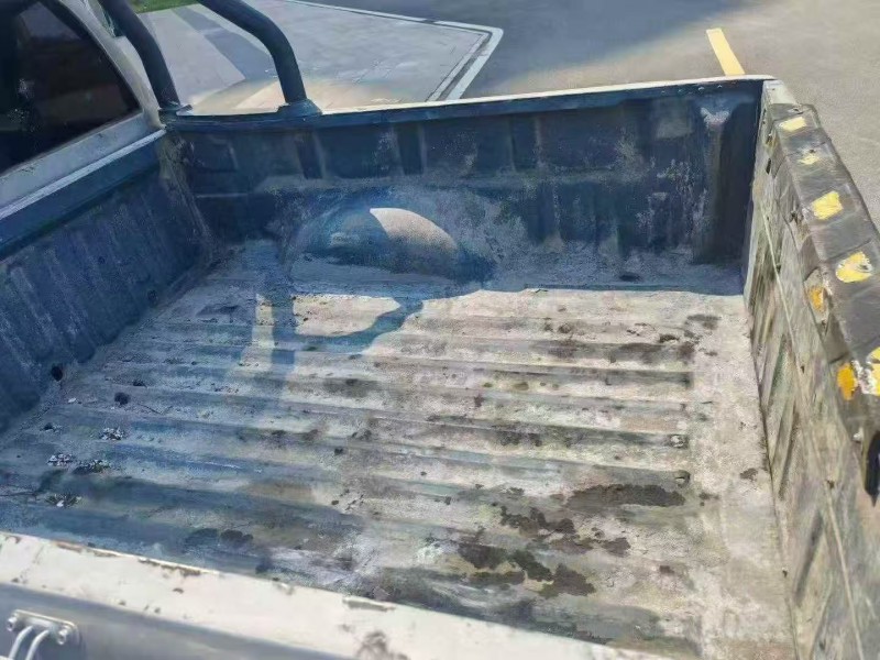 株洲20年长城汽车炮 皮卡5