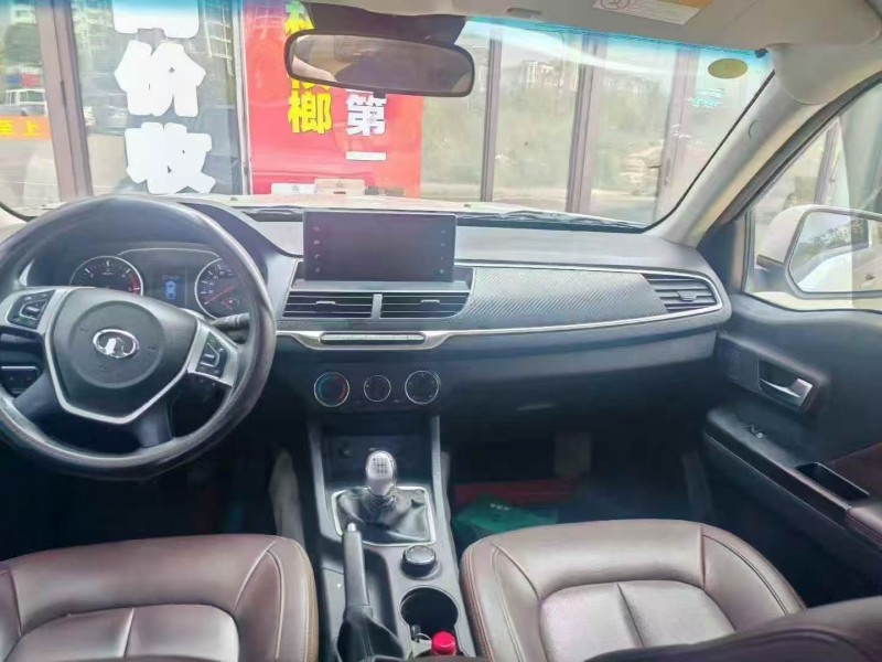 株洲20年长城汽车炮 皮卡6