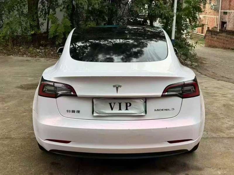 萍乡23年特斯拉MODEL 39