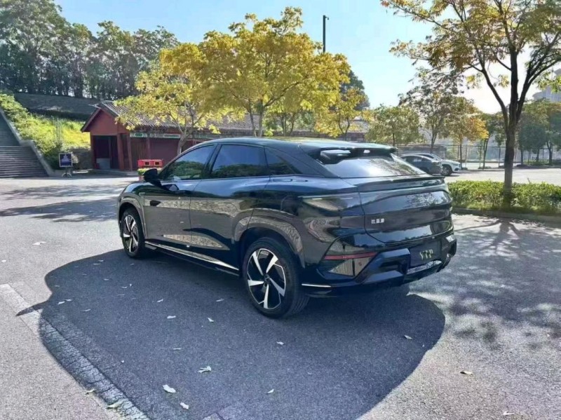 东营24年比亚迪海狮6