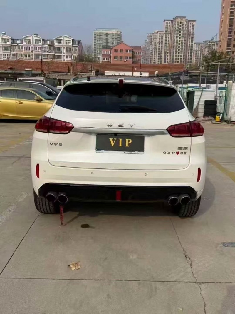 淄博19年长城汽车魏牌6