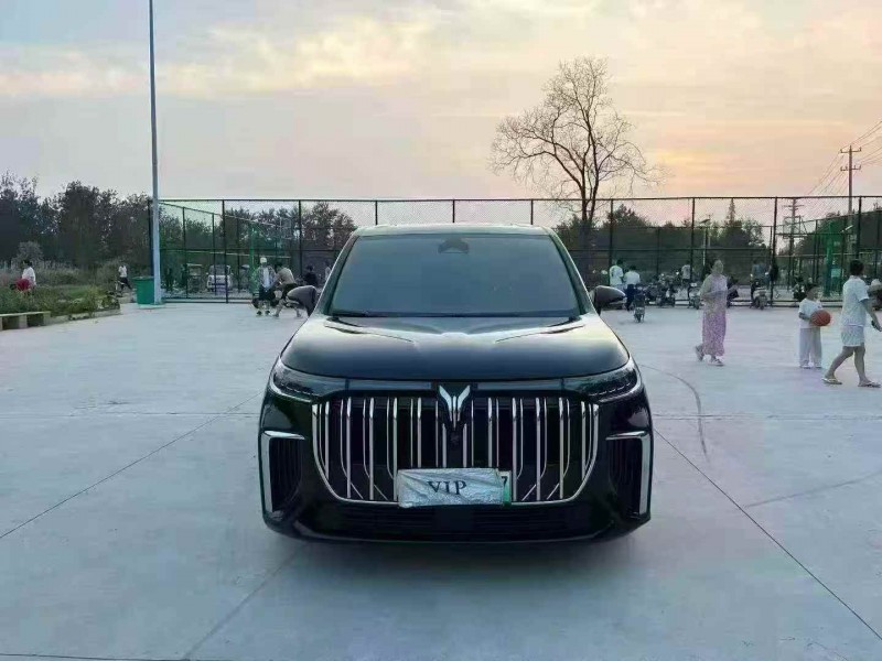 徐州24年岚图汽车梦想家1