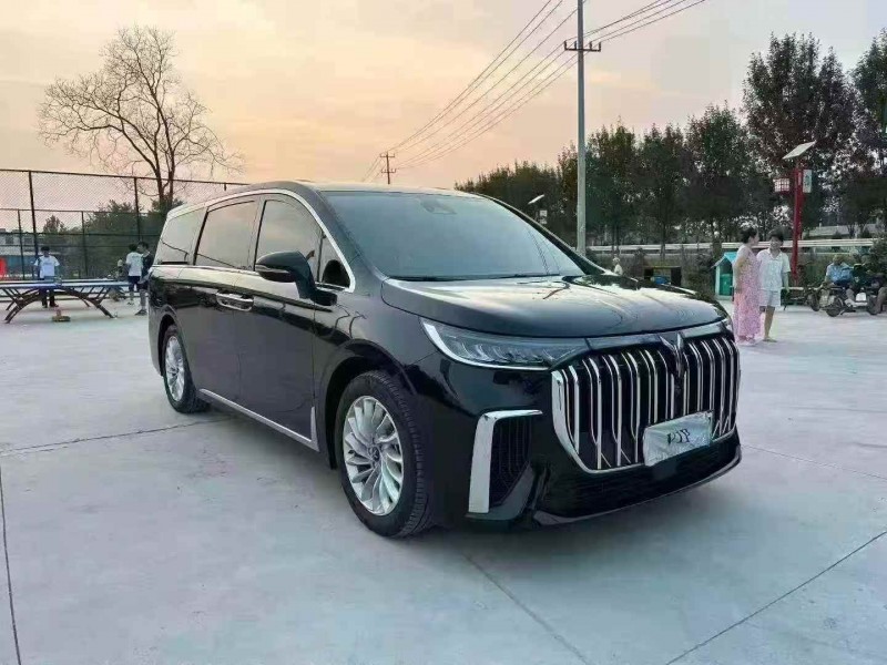 徐州24年岚图汽车梦想家2