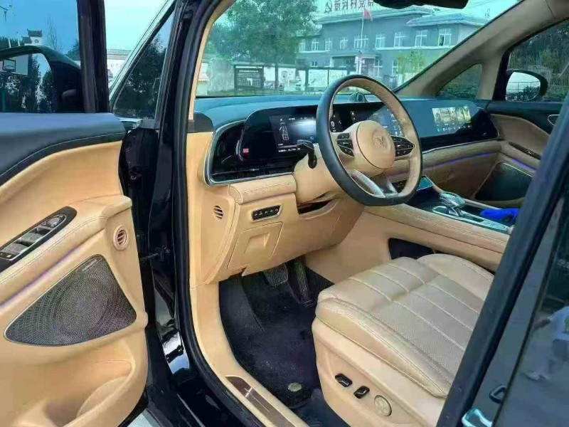 徐州24年岚图汽车梦想家4