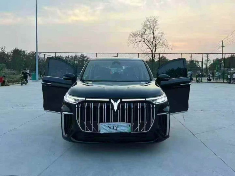 徐州24年岚图汽车梦想家8