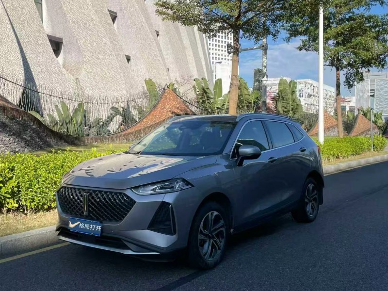 深圳22年长城汽车WEY3