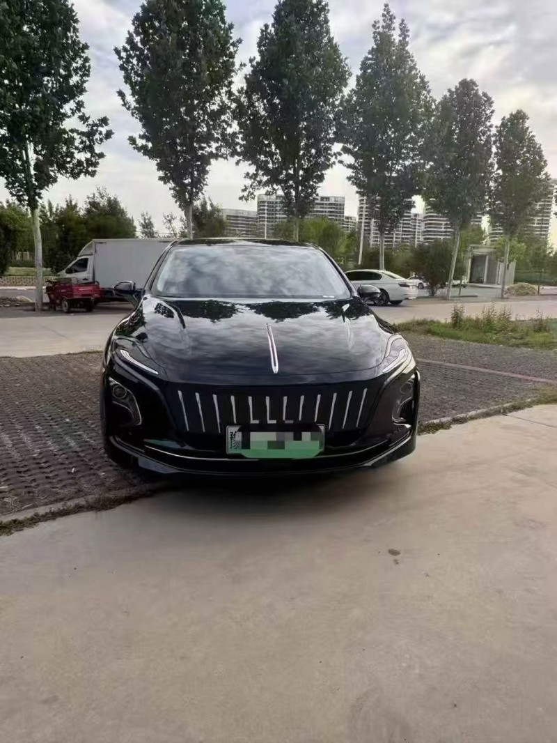 安阳24年红旗E-QM51