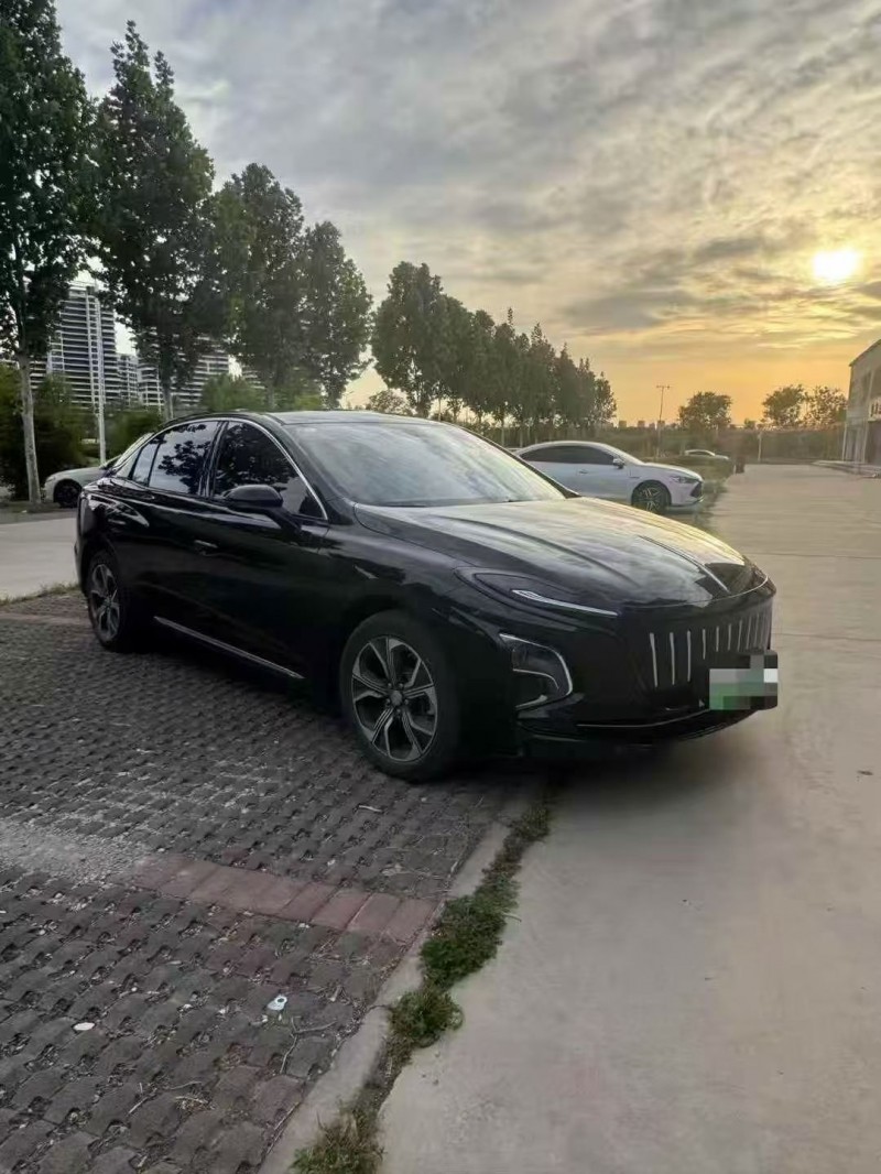 安阳24年红旗E-QM52