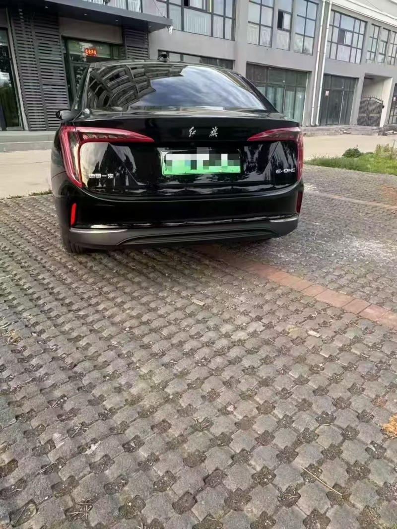 安阳24年红旗E-QM59