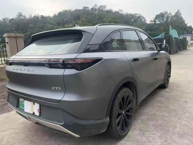 珠海24年极狐汽车阿尔法8