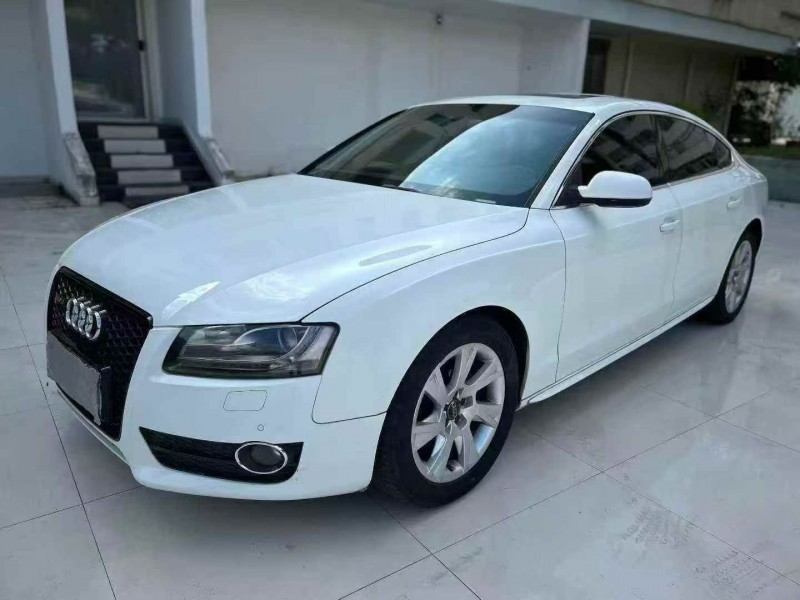 珠海11年奥迪A53