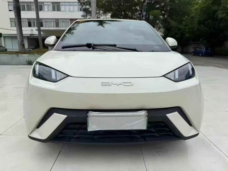 珠海23年比亚迪海鸥1