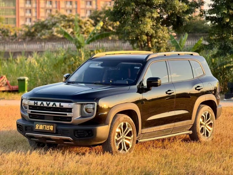 广州23年哈弗大狗2