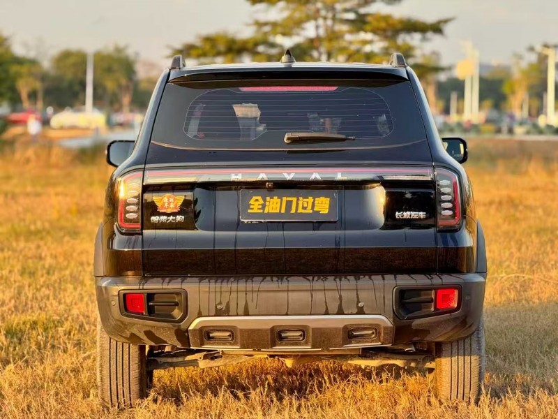 广州23年哈弗大狗9