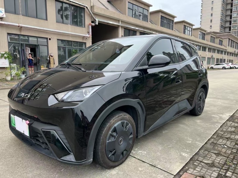 江门24年比亚迪海鸥2