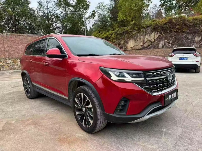 广州21年东风风行2