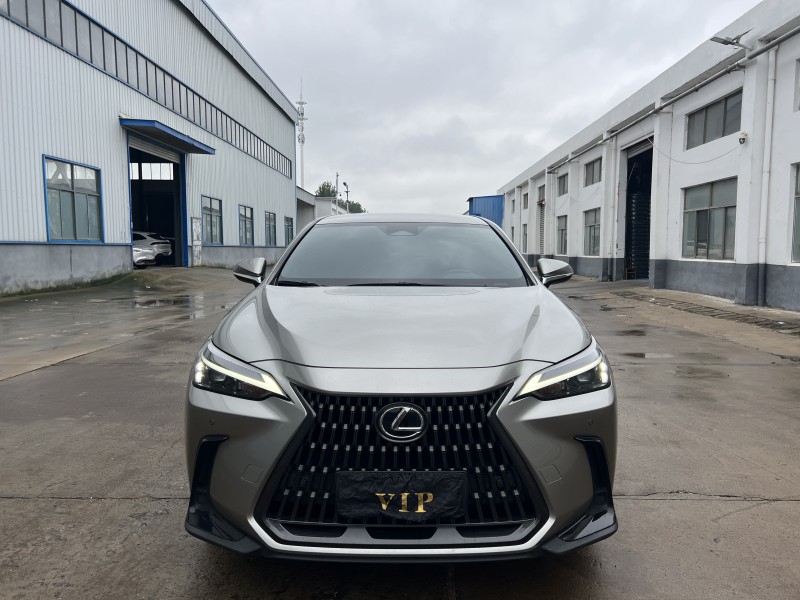 盐城23年雷克萨斯NX1