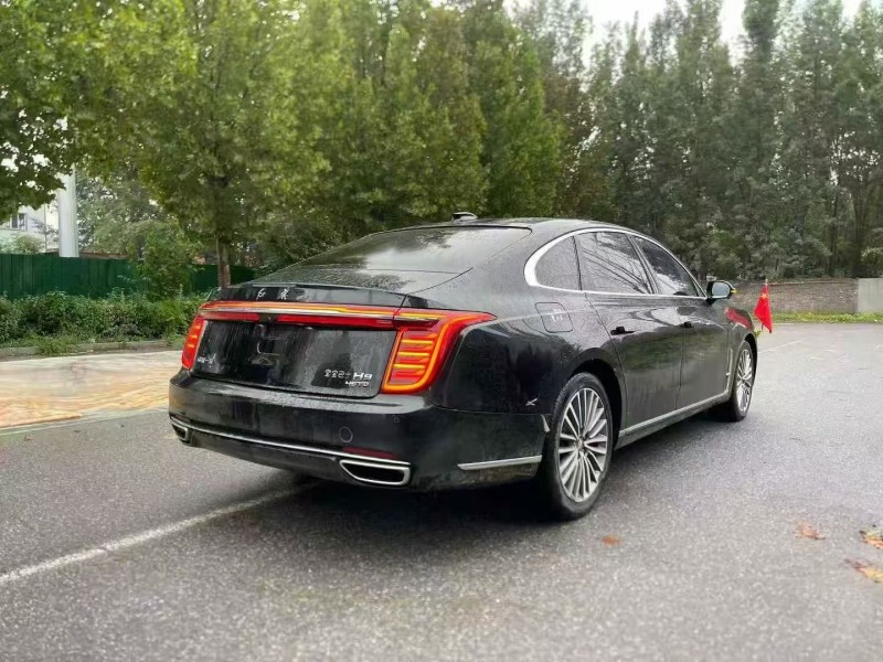 枣庄21年红旗H98