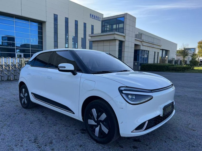 盐城24年东风纳米2