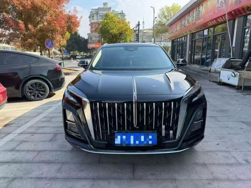 嘉兴24年红旗HS31