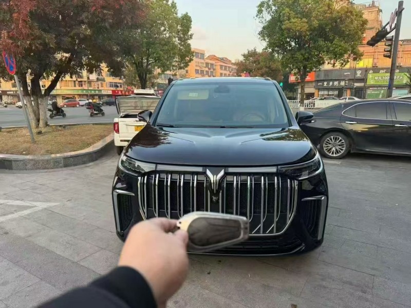 嘉兴23年岚图汽车梦想家1