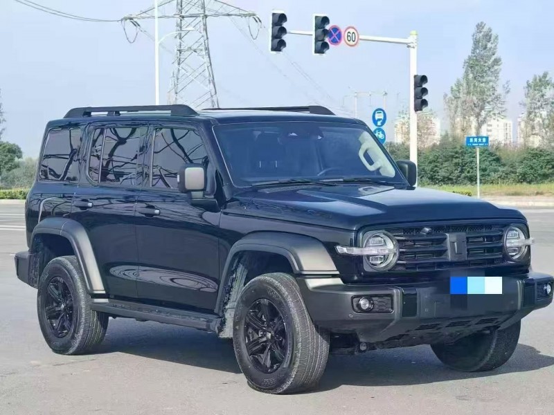 咸阳24年长城汽车坦克2