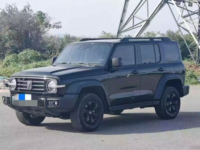 咸阳24年长城汽车坦克3