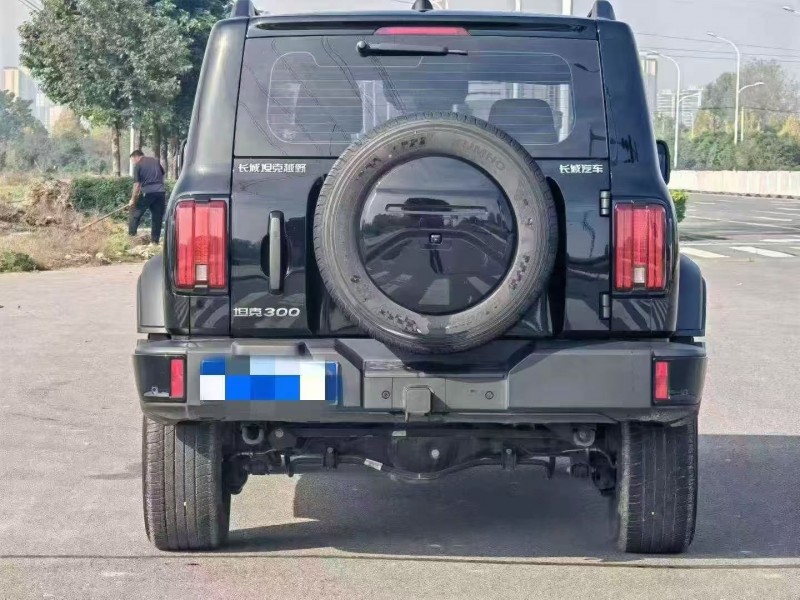 咸阳24年长城汽车坦克9