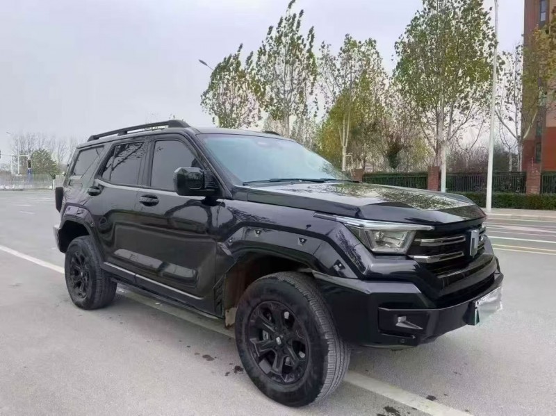 洛阳24年长城汽车坦克2