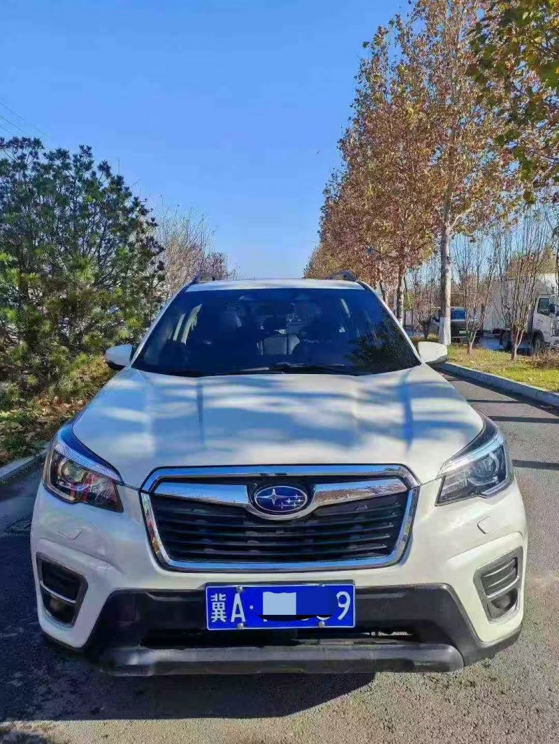 唐山23年斯巴鲁森林人1