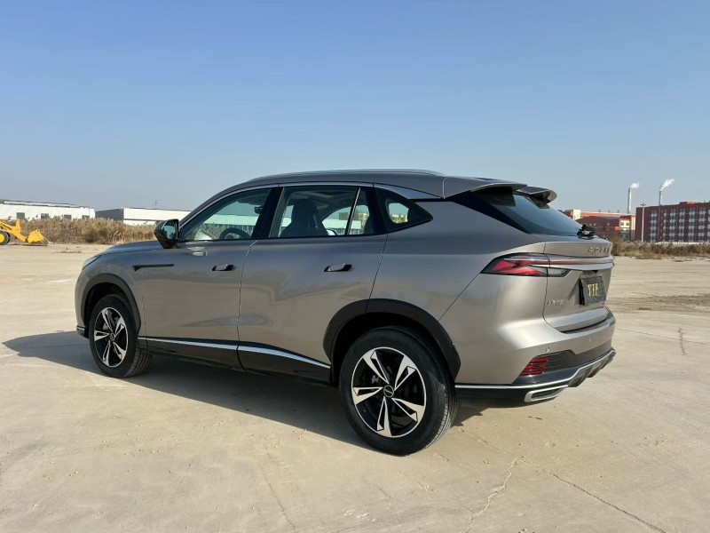 衡水25年荣威RX55