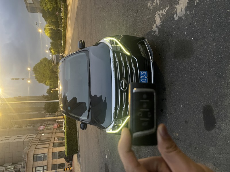 马鞍山19年传祺M8/GM81