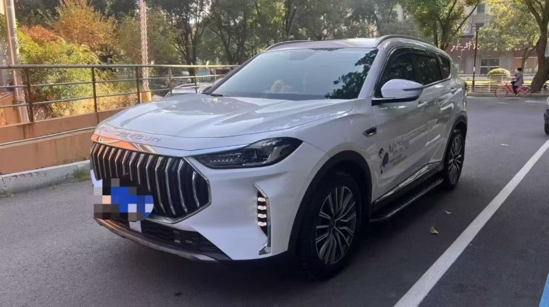 温州24年奇瑞捷途2