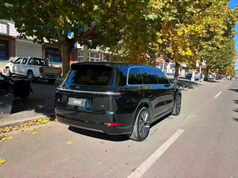 邯郸22年理想L96