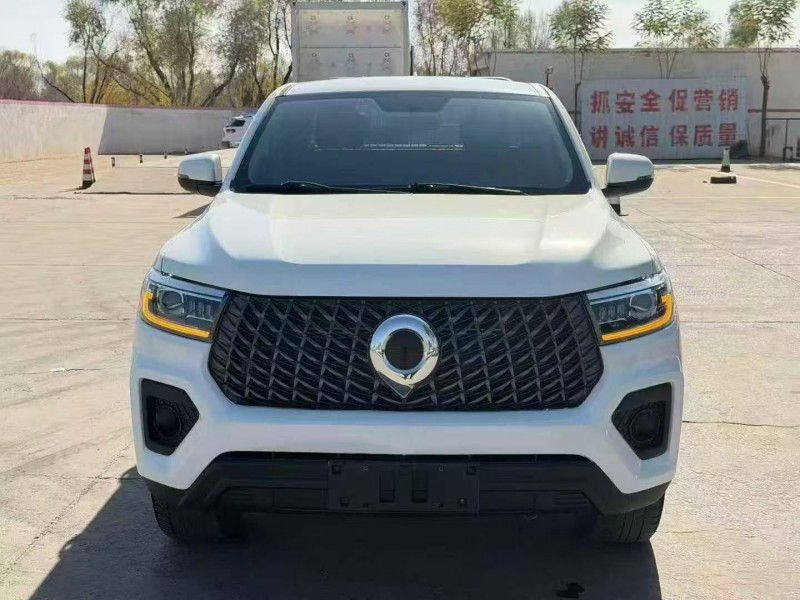 枣庄23年长城汽车炮 皮卡1